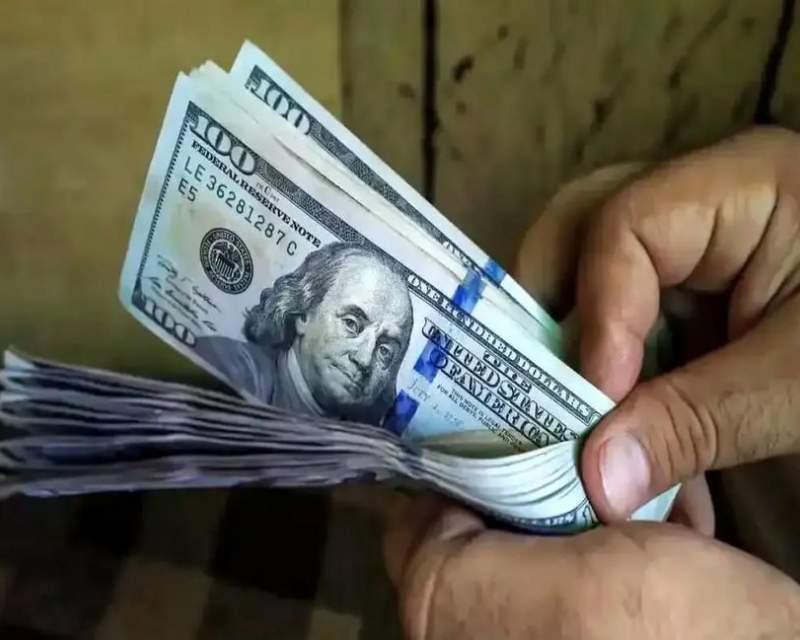 فهرست تامین ارز با نرخ ترجیحی به تفکیک گروه کالایی منتشر شد