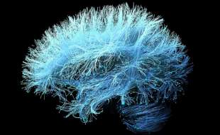 رقیب جدید نورالینک با امواج فراصوت وارد میدان شد